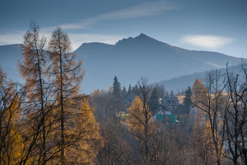 Willa Gardenia Zakopane Szoba fotó